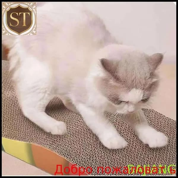 Картон для когтеточки для кошек