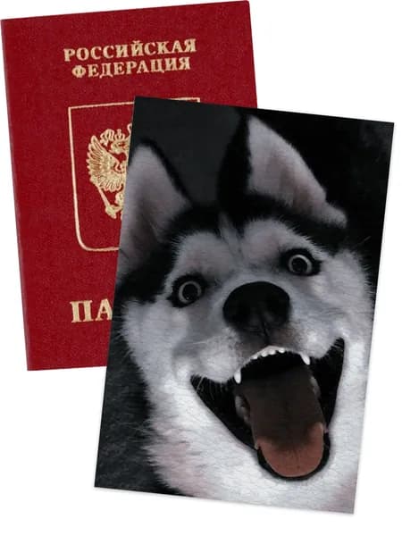 Чехол для паспорта хаски
