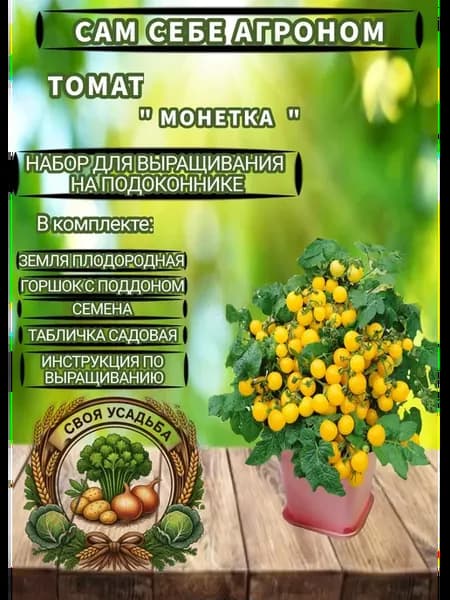 томат балконный "Манетка"