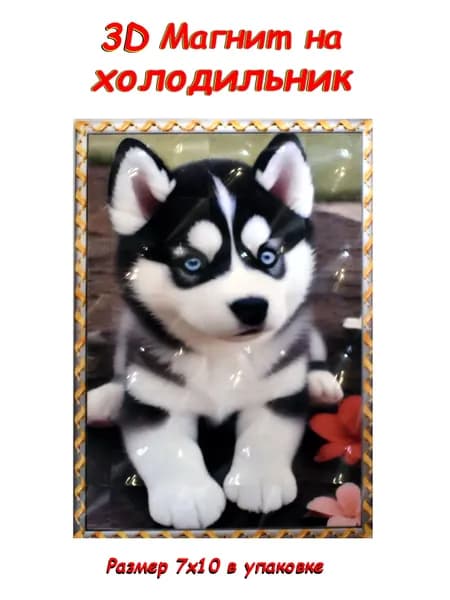 Магнит на холодильник 3D голографический эффект.
