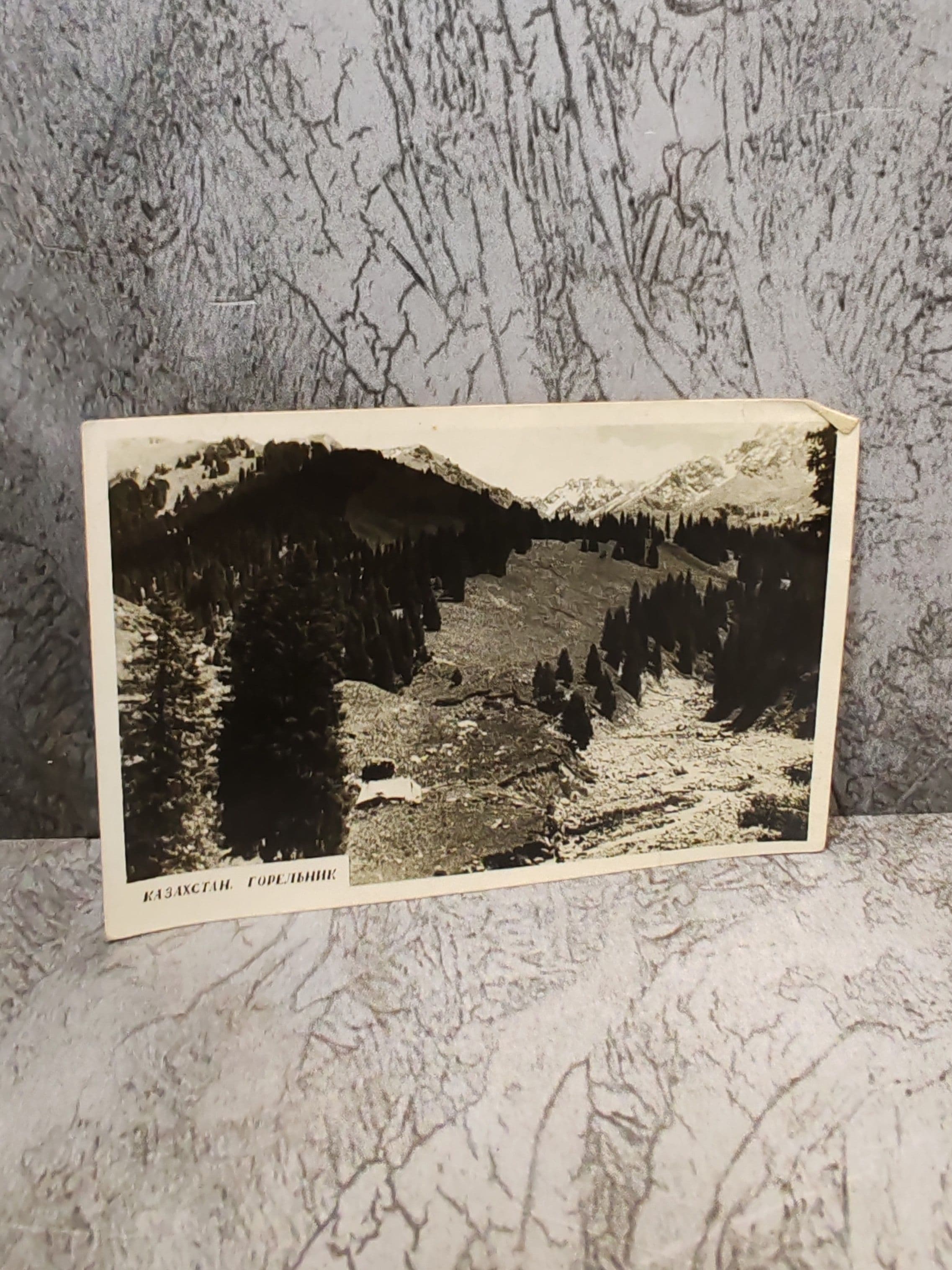 Горельник. Казахстан, 1940 г. Фотограф Ю. Яневский