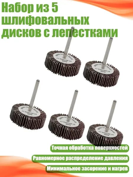 Набор из 5 шлифовальных дисков с лепестками, 5шт