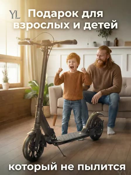 Электросамокат diandonghuabanche