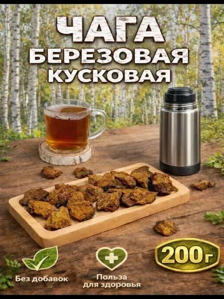 Чага березовая натуральная кусковая 200 г