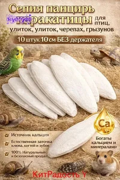 Сепия панцирь каракатицы для птиц, улиток, черепах, грызунов, 1 банка: 12 штуки 7-10 см БЕЗ держателя