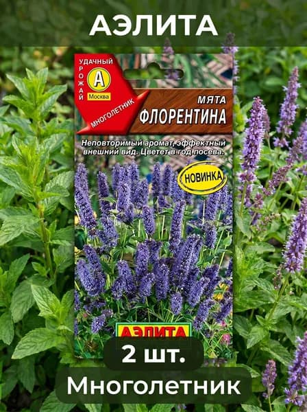 Семена Мята Флорентина, 2 шт.