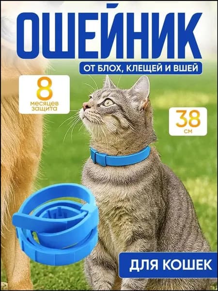 Ошейник для кошек от блох и клещей