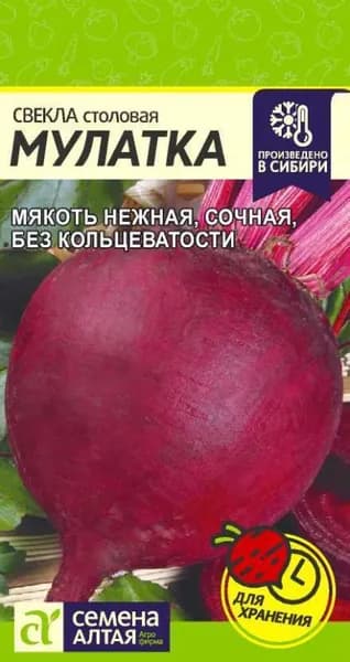 Семена Свекла Мулатка