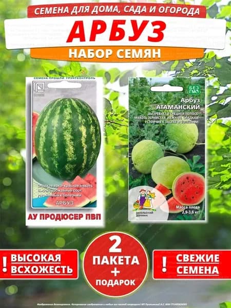 Семена арбуз для дома сада посадки