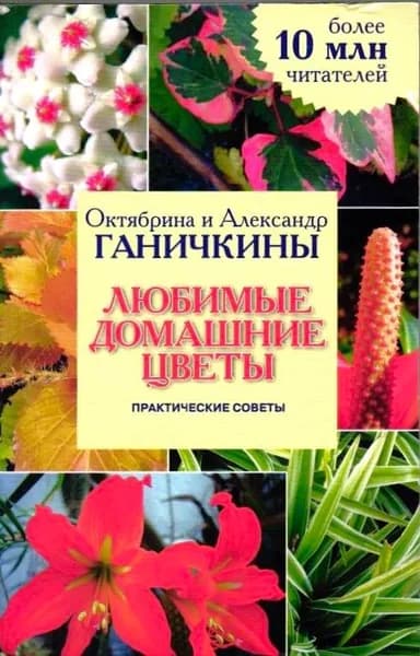 Любимые домашние цветы. Практические советы. Октябрина и Александр Ганичкины | Ганичкина Октябрина Алексеевна
