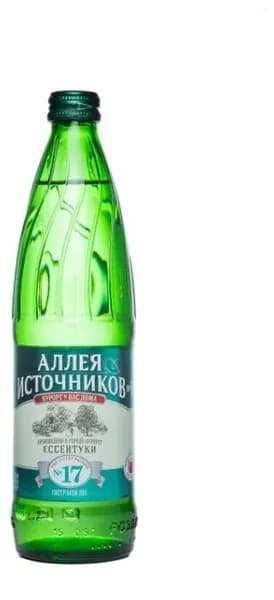 Аллея Источников Вода 1шт