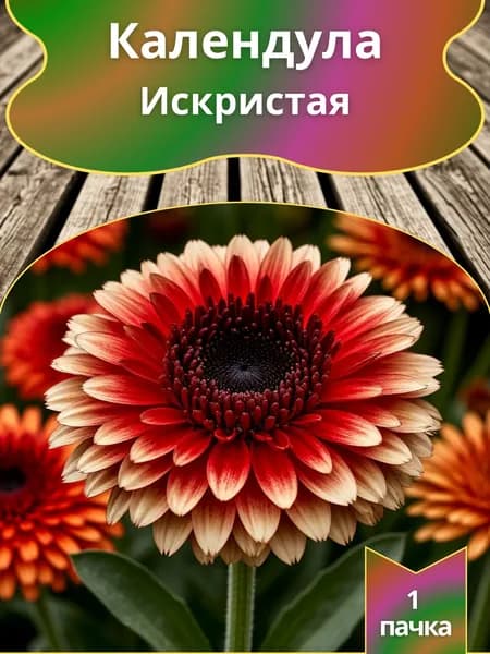Календула Искристая , семена 10 шт.