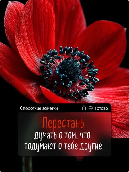 Магнит на холодильник для подруги, сестры, коллеги, подарок, прикол, 1шт, 7х10см