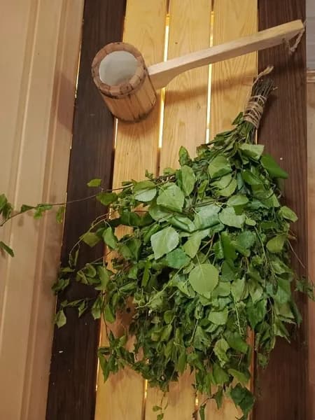 Веник для бани Березовый, 1 шт.