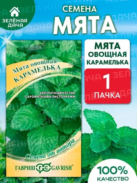 семена Мята Карамелька
