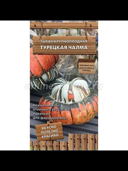 Тыква крупноплодная Турецкая чалма