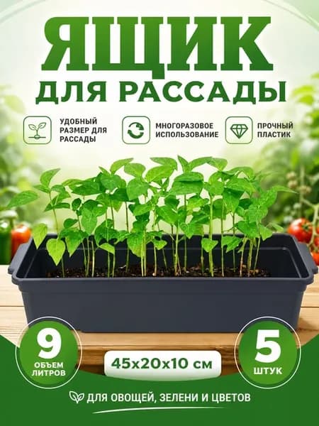 Ящик для рассады рассадник