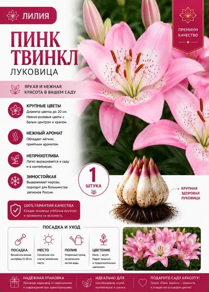 Питомник Твой Сад Луковицы,0.06кг