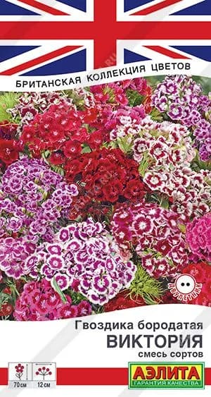 Семена Гвоздика Виктория, смесь сортов, Агрофирма Аэлита