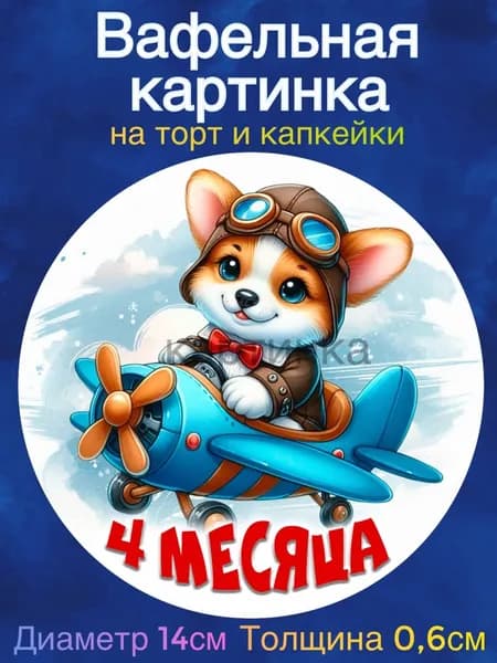 Вафельная картинка "Ребёнку 4 месяца, Первые месяцы ребенку, Самолётик". Сладкая картинка, съедобная печать для декора торта, бенто-торта, украшения пряников и капкейков.