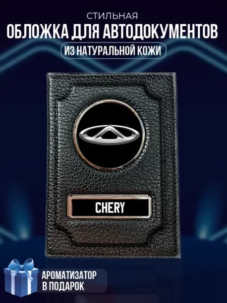 Обложка на паспорт и для автодокументов Chery