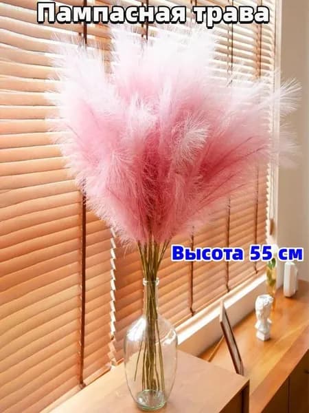 Сухоцветы Пампасная трава, 55 см, 15 гр, 1 шт