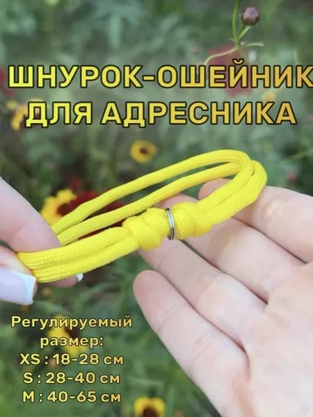 Ошейник-Шнурок для адресника из паракорда, Лимон, XS (18-28см)