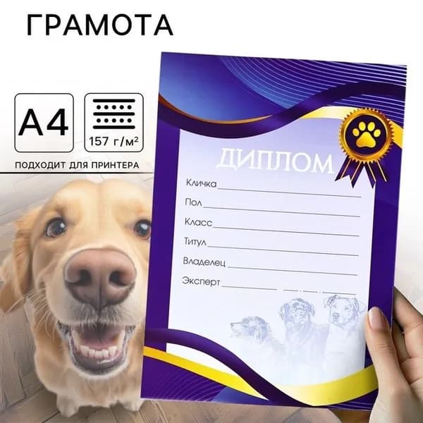 Грамота А4 Выставка собак, 5шт.
