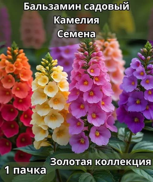 Бальзамин садовый "Камелия", Семена 10шт в пачке