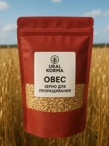 Овес для заваривания, отваров и настоя , для проращивания. Микрозелень для проращивания 1 шт 700гр