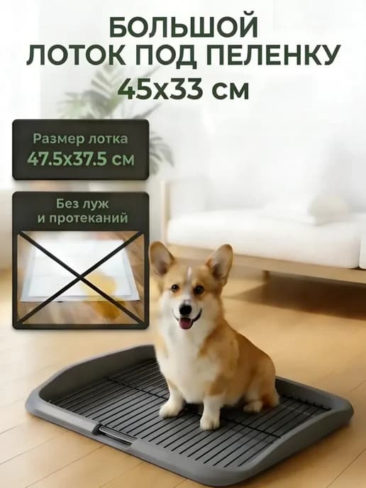 Лоток под пеленку 45х33, 47,5×37,5×6 см