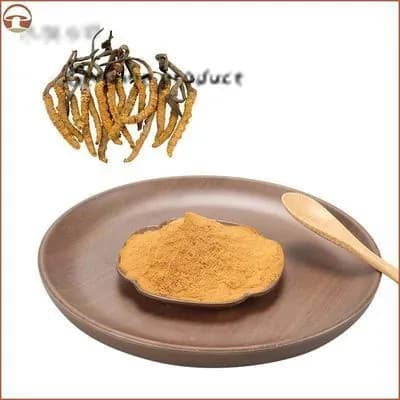 100 г - 1000 г Порошок экстракта грибов Кордицепс - Cordyceps Sinensis, добавка к грибам-TAODONG