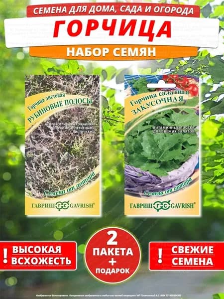 Семена горчица для дома сада посадки