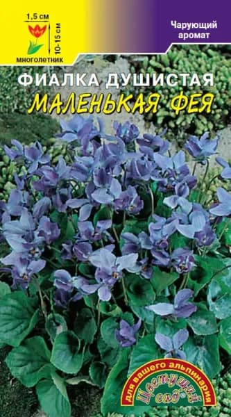 Фиалка душистая Маленькая фея (семена Цветущий сад), 0,05 г. Многолетник!