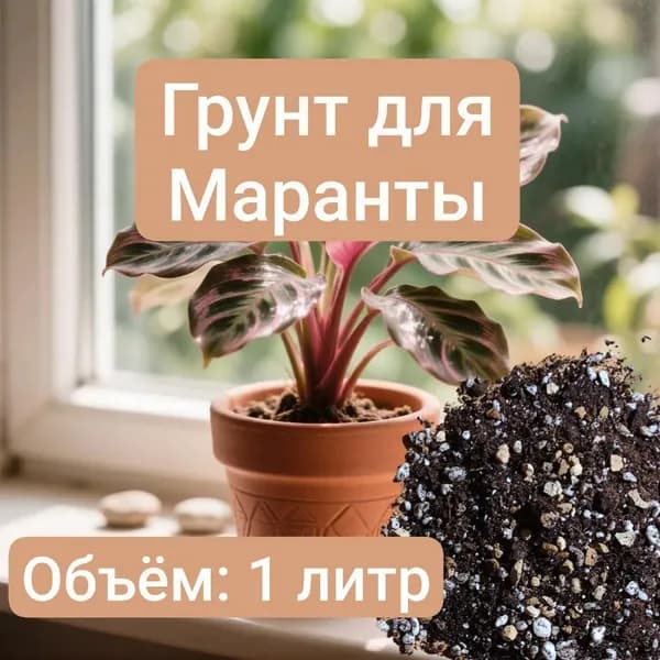 Авторский грунт для Маранты 1 литр
