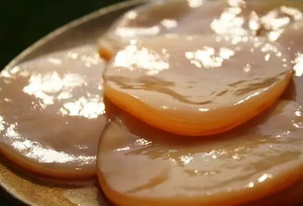 Чайный Гриб живой для выращивания