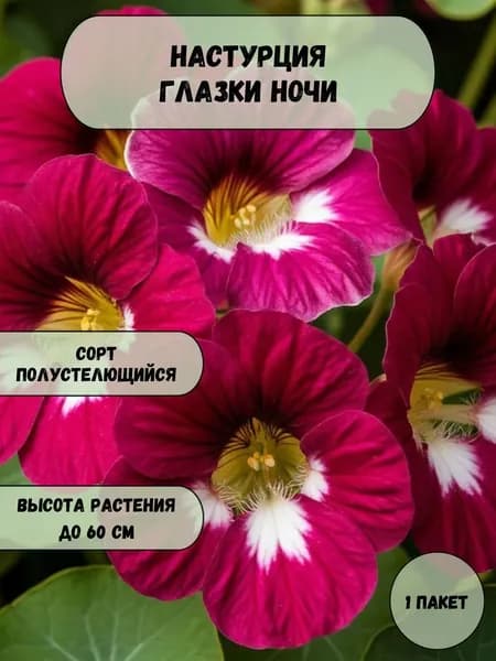 Настурция Глазки ночи, семена 10 шт