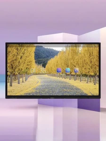 GAOKEView 65" Интерактивная видеопанель 65'' S-A9 PRO-II с камерой (IFP-GK65A9 Pro-II), IPS, 3840x2160, 60 Гц, черный