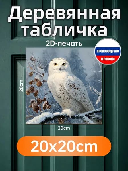 Печатная картина на дереве Белая сова