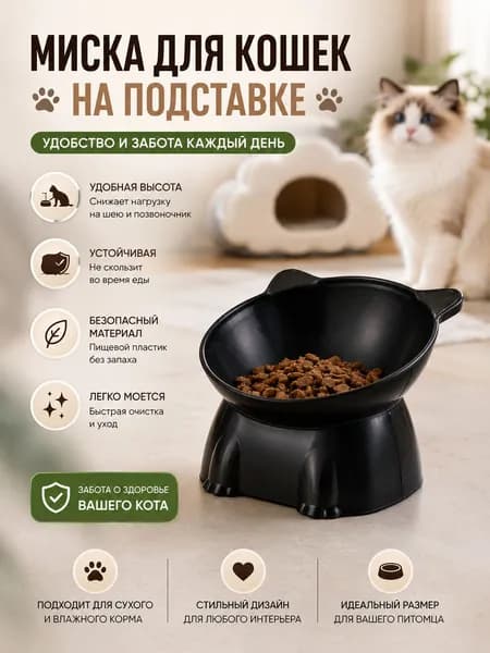 Керамическая миска для кошки с правильным наклоном