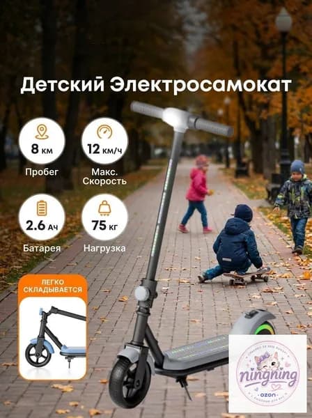 Электросамокат bn5WE2gZ, серый, белый