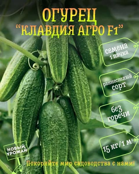 Огурец Клавдия Агро F1, семена, 10 шт.