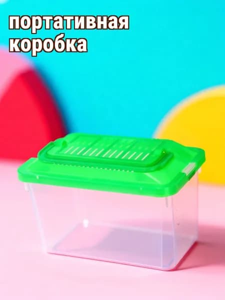 Прозрачный пластиковый контейнер для хранения и перевозки домашних черепах и золотых рыбок