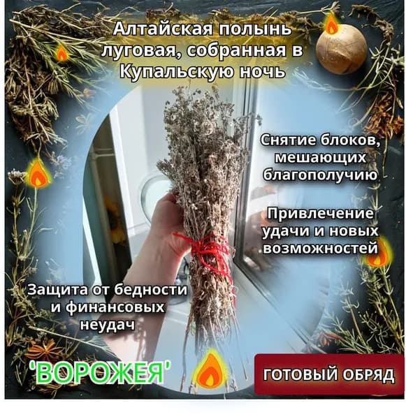 Полынь лимонная, луговая ароматная, с Алтая, на снятие блоков, ЗАЩИТУ от бедности.