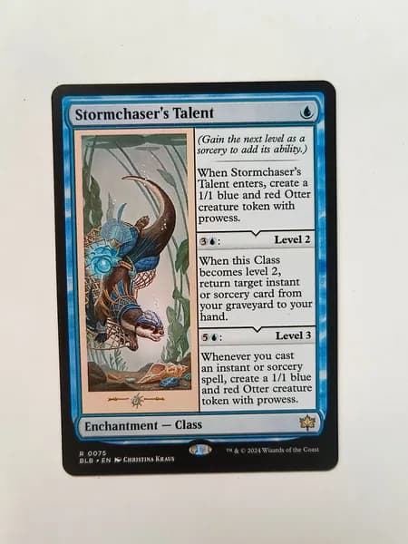 Портативные карты MTG Настройка и прокси Высокое качество без фольги Талантливость Stormchaser