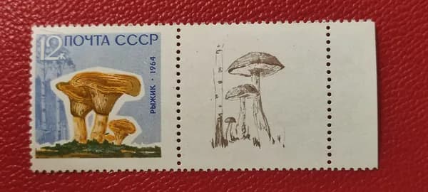 Марки СССР 1964. Грибы: "Рыжики'. MNH - См фото