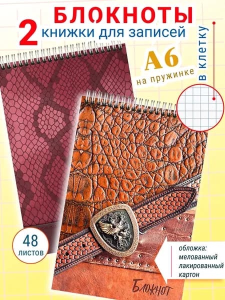 Блокнот в клетку А6 на пружине кожа в офис Набор 2 шт.