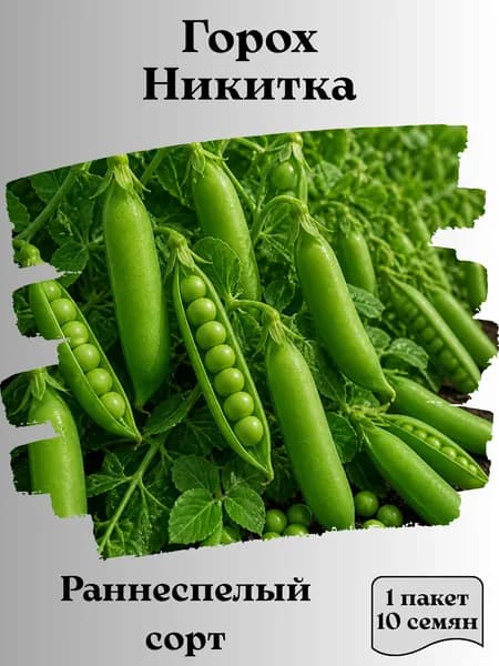 Горох Никитка, семена, 10 шт.