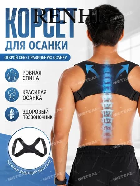 Тренажер для спины mzm-20260629103835616