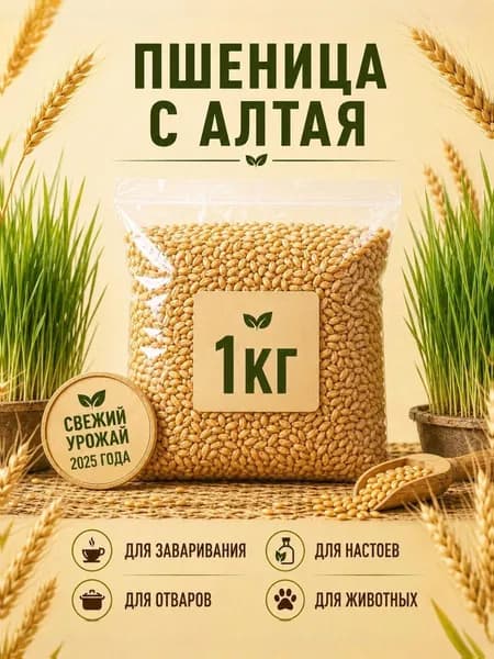 Пшеница 1 кг для проращивания, зерно для микро зелени, Урожай 2025 ГОДА!
